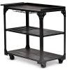Sherlock Rolling Server Cart - Mobile Storage Solution for Home & Office