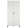 Systembuild Amplus 2-Door Storage Cabinet - Durable & Spacious Organizer for Home or Office